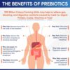Wholesome Wellness. Raw Probióticos 100 billones con prebióticos y enzimas digestivas - 30 cápsulas. - Image 5