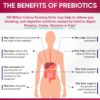 Wholesome Wellnes. Women´s RAW Probiotic 100 billones con prebióticos y enzimas digestivas - 60 cápsulas. - Image 6
