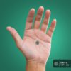 PipingRock. Organic Espirulina 1,000 mg - 300 tabletas. - Image 7