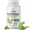 Yokaba. Moringa / Hoja de Moringa en Polvo - 250 cápsulas por frasco