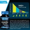 Wellness LabsRX. NAD+ 1,200 mg (Nicotinamide Adenine Dinucleotide) + Resveratrol 300 mg - Por 2 cápsulas - 90 cápsulas por frasco - Image 3