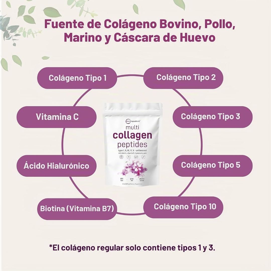 Micro Ingredients. Multicolágeno proteína, tipos I,II, III, V, X + Biotin, Vitamina C y Ácido Hialurónico - 82 porciones en polvo sin sabor - 2 libras - Imagen 4