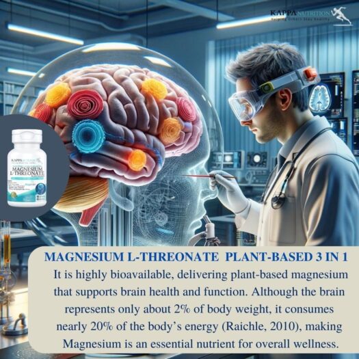 Kappa Nutrition. Magbrain Magnesio L-treonato a base de plantas 3 en 1 -  420 mg de magnesio elemental por cada 3 cápsulas - 90 cápsulas - Image 6