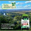Fito Medics. Aceite de orégano 6,000 mg por 2 softgel - 150 softgels - cápsulas blandas por frasco. - Image 4